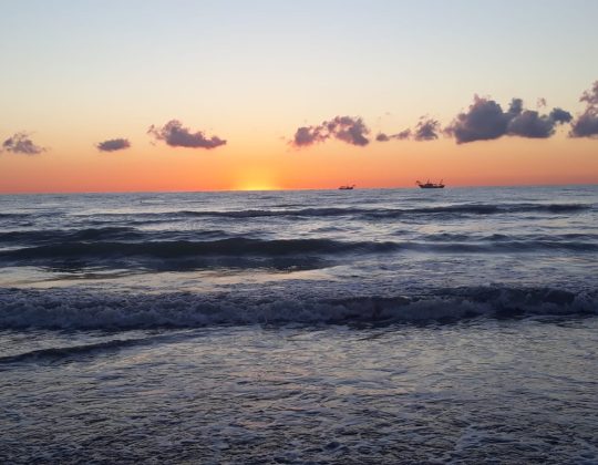 September in Rimini – Smart Week